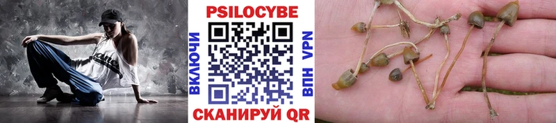 Галлюциногенные грибы Magic Shrooms  Купить закладки  Заинск 