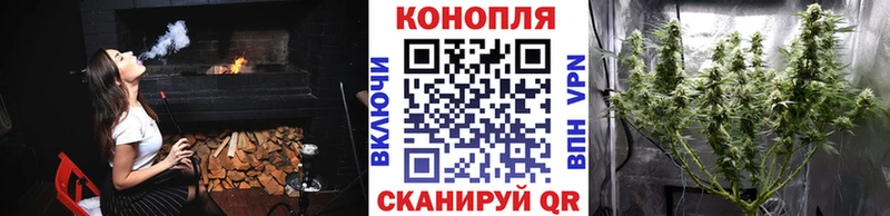 Шишки марихуана Amnesia  Купить  Заинск 